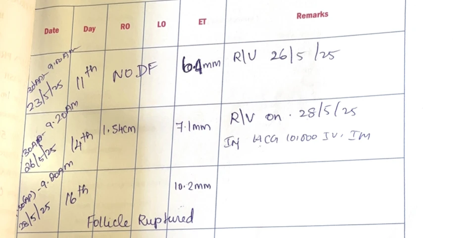 Follicular monitoring report showing no dominant follicle development