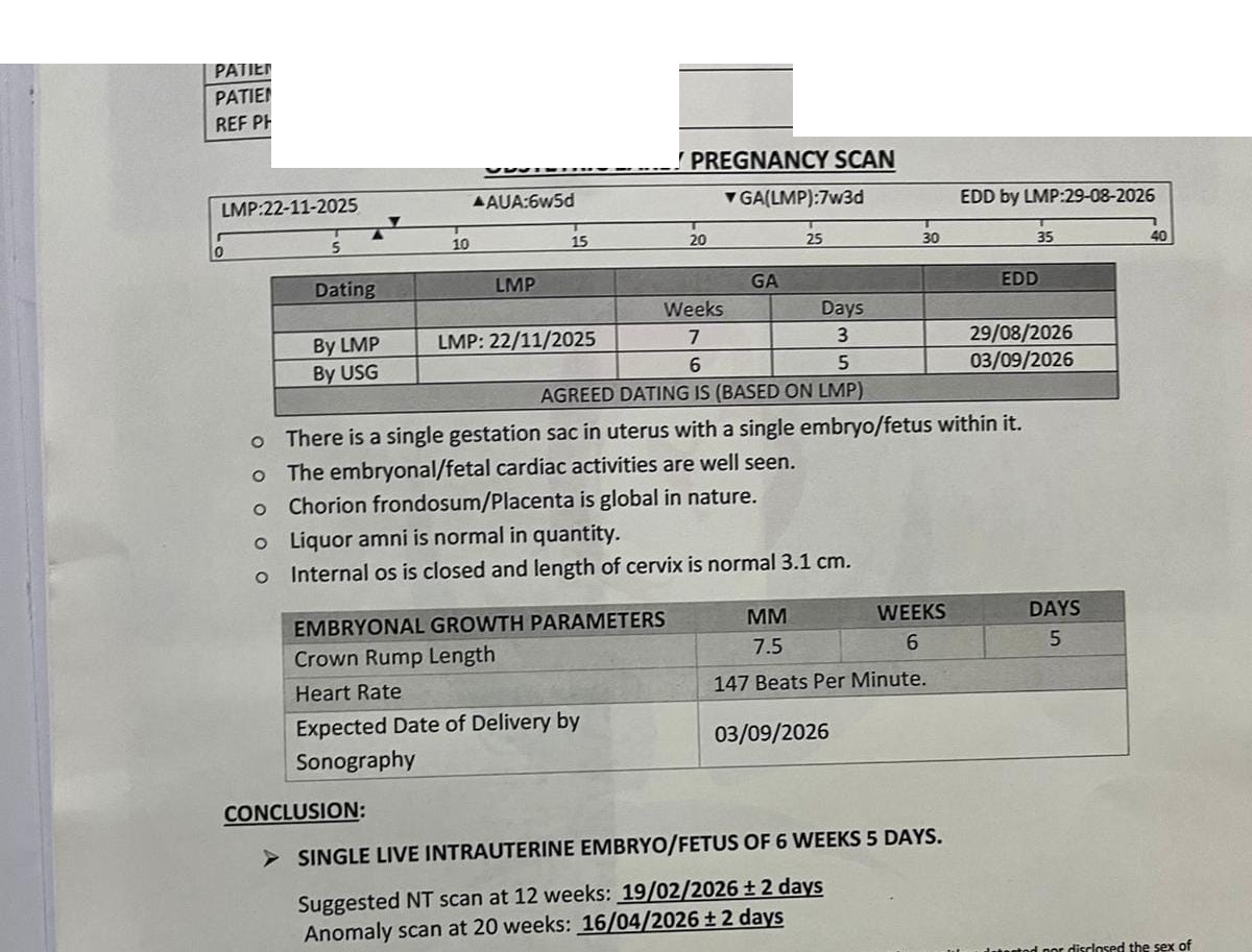 Obstetric early pregnancy scan confirming a single live intrauterine embryo with normal cardiac activity and healthy development