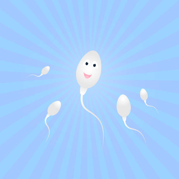 Foods to Improve Sperm Health