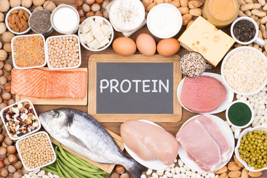 Protein Rich Foods Guide