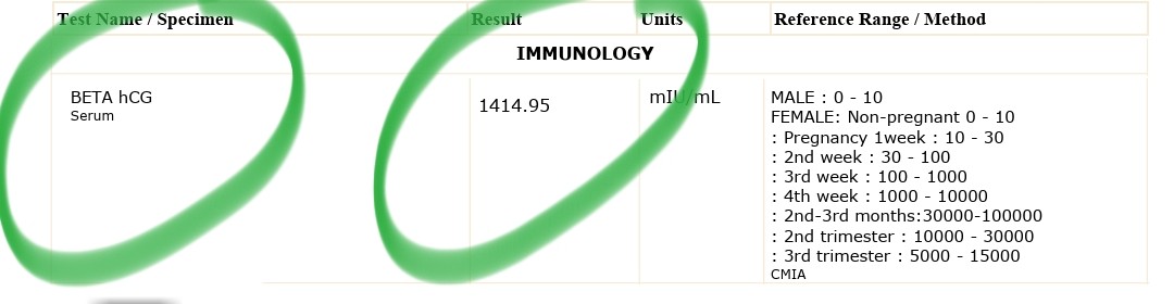 Her beta hCG result confirming the pregnancy